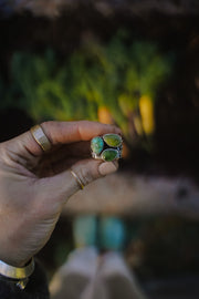 The Gardener Fable Ring ~ Sterling Silver + Green Turquoise ~ Size 6