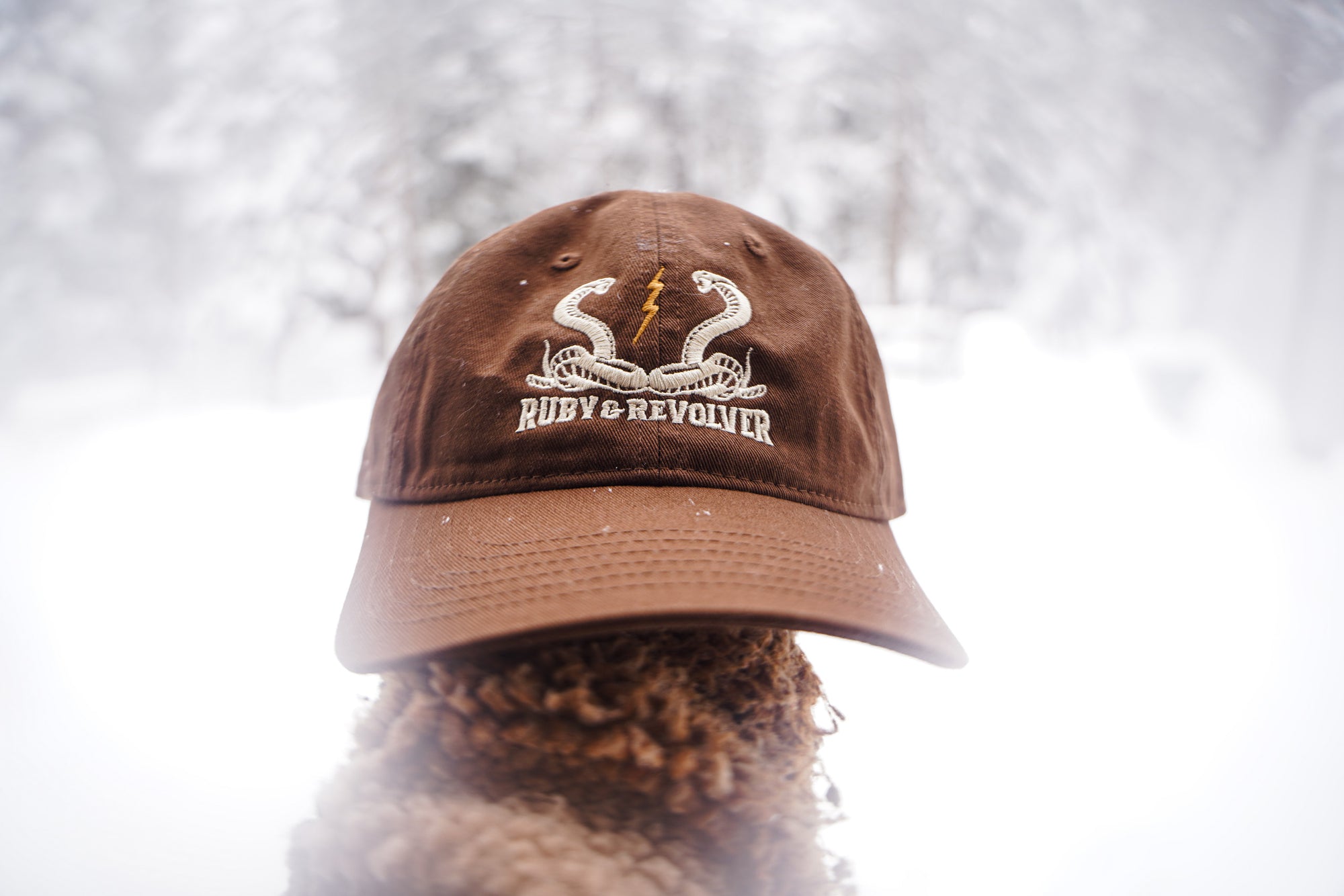 Ruby + Revolver Dad Cap ~ Organic Cotton ~ Earth