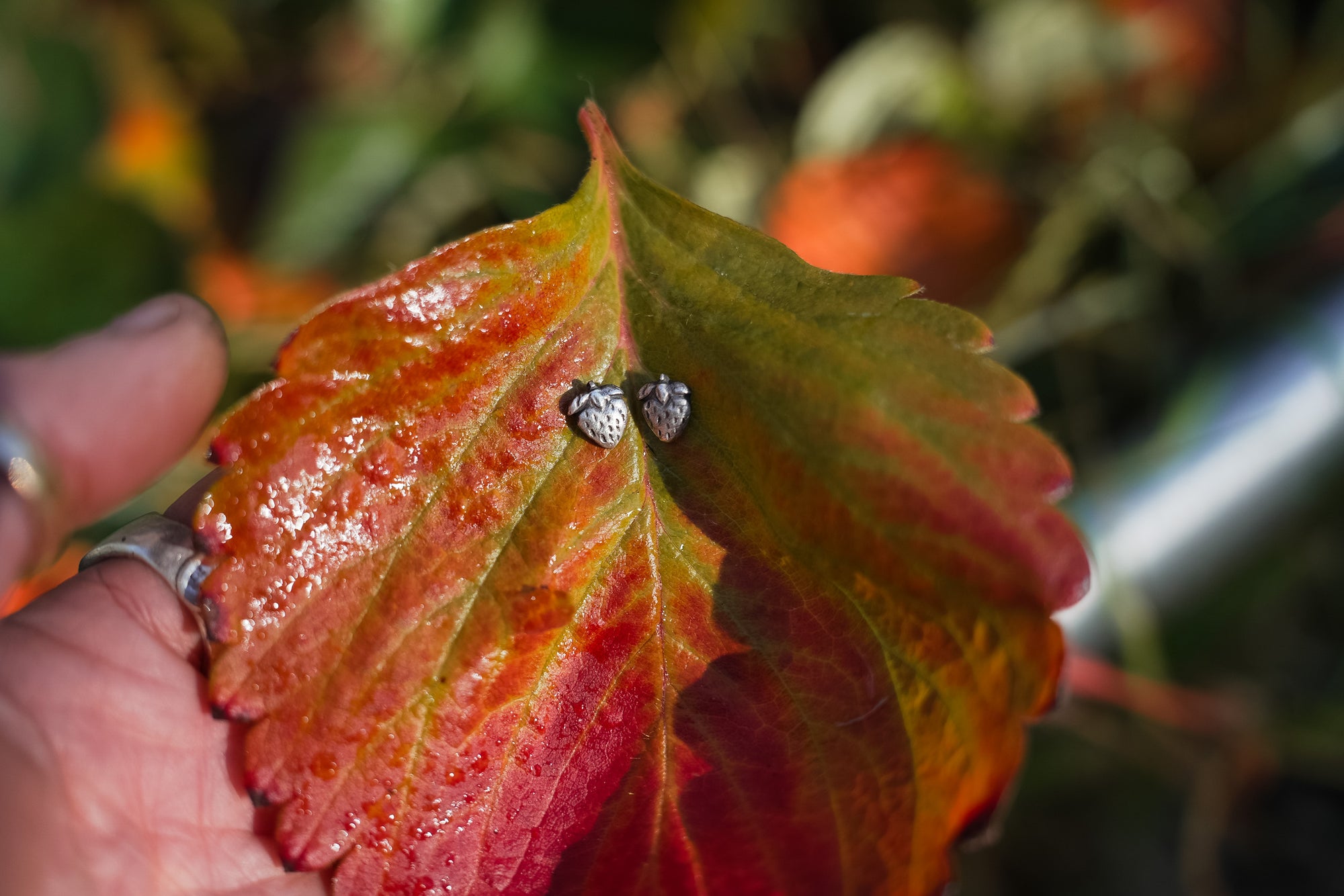 CORE Collection PREORDER ~ Bitty Berry Posts ~ Reclaimed Sterling Silver