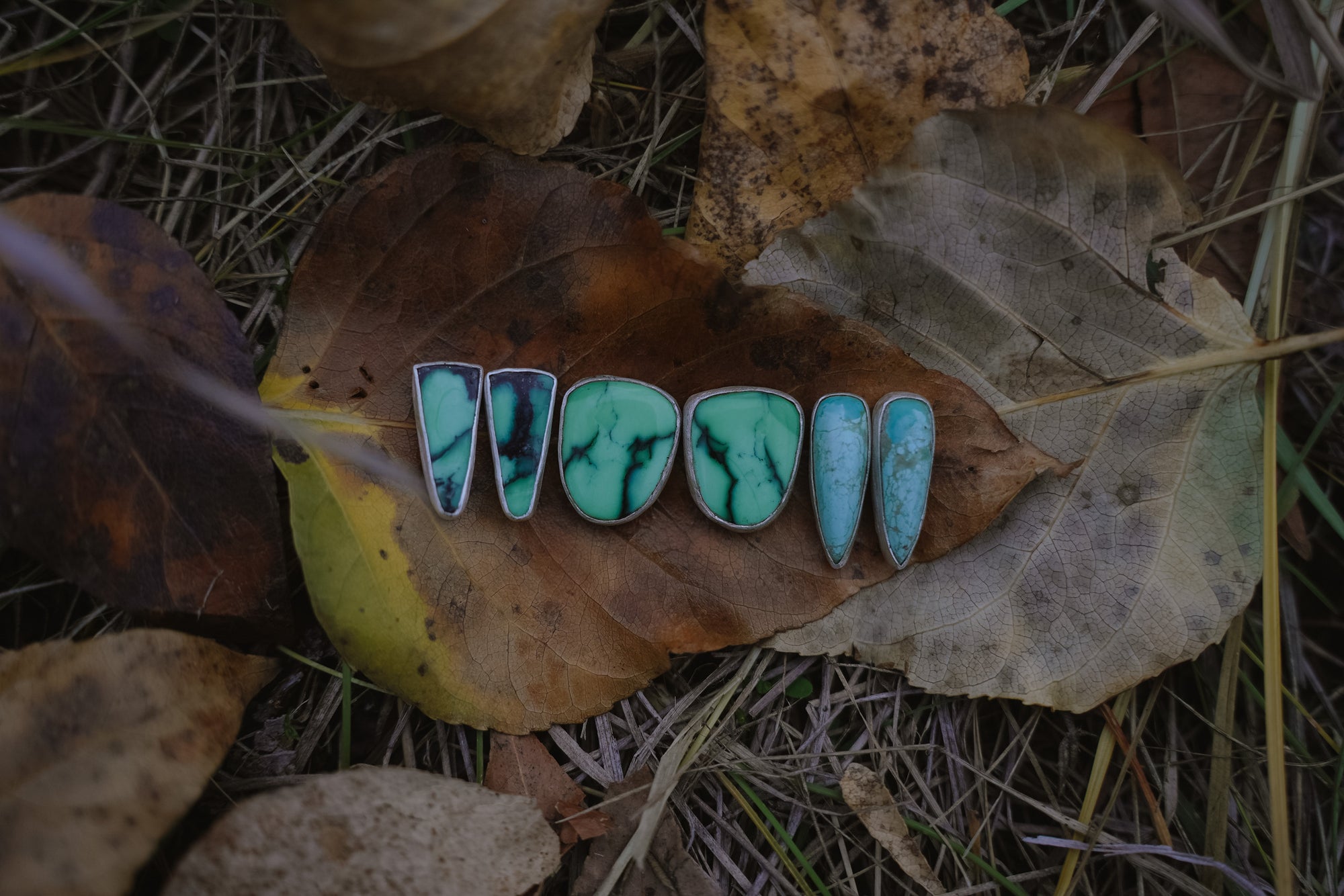 A set of silver and gemstone earrings set on a leaf with a natural background