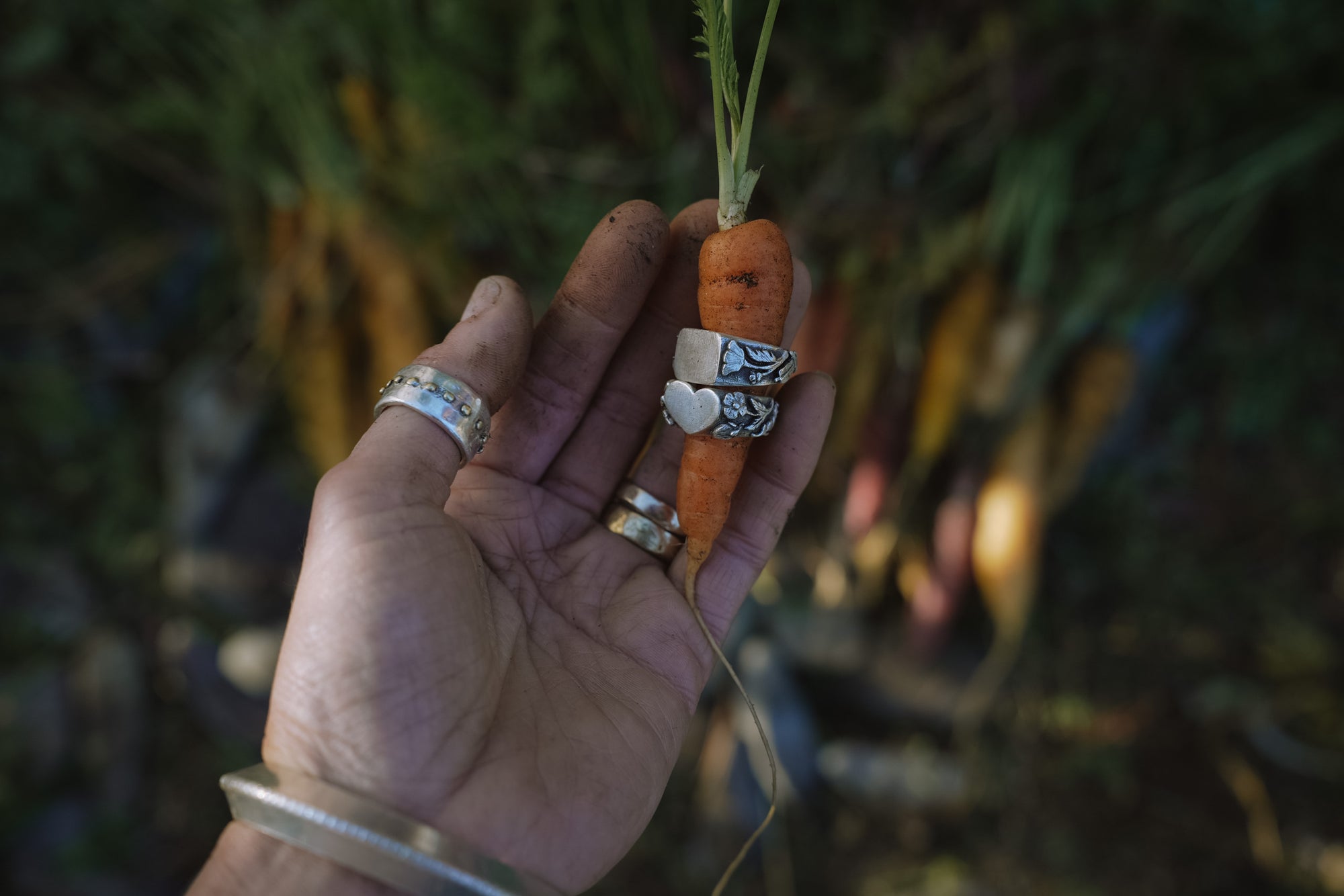 Woman’s hand holding a small carrot with two sterling silver signet rings against a blurred natural background. One has a heart-shaped signet top and the other a square signet top. Both have carved floral motifs on the bands.