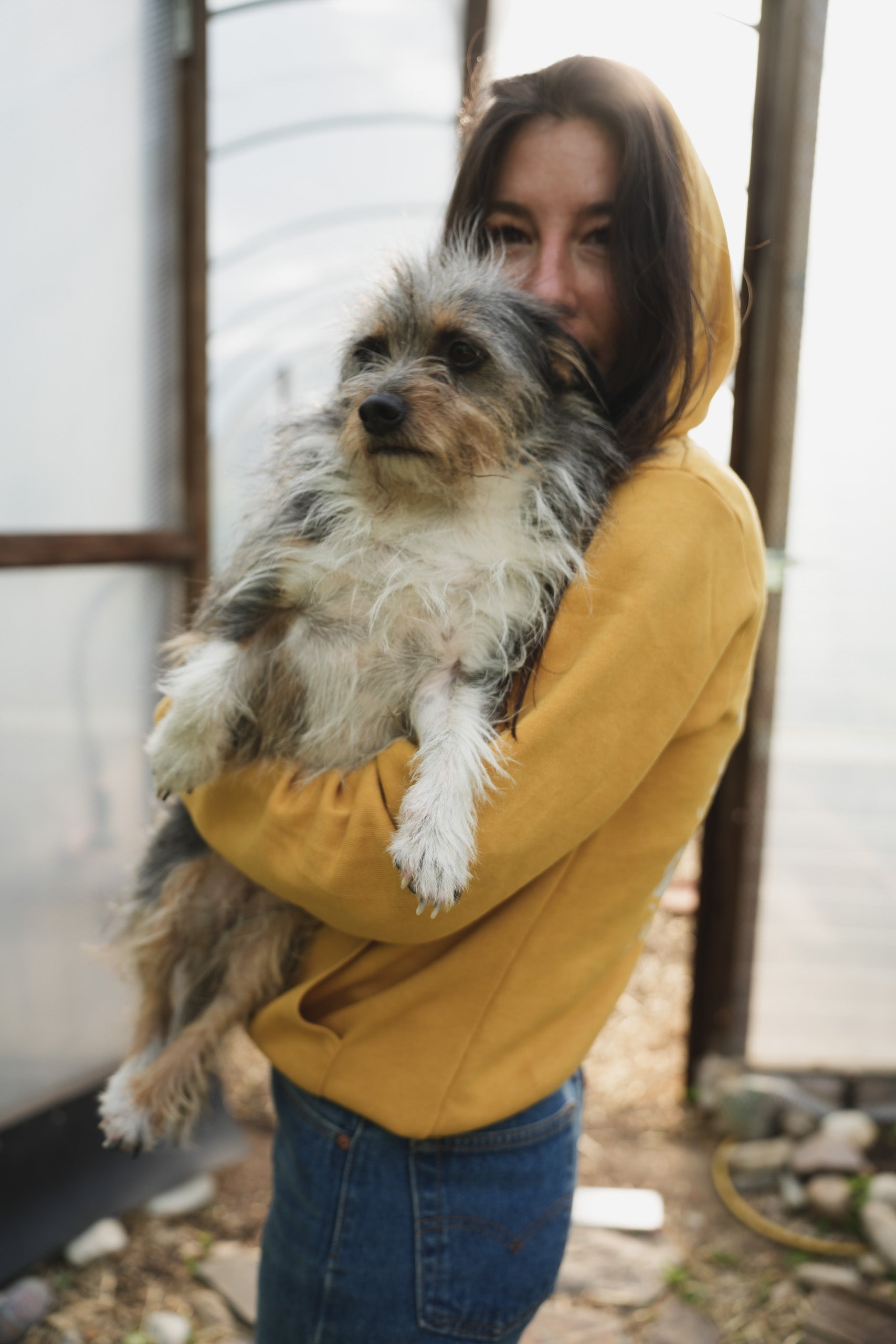 A woman with long, dark hair, wearing a mustard-yellow hoodie and blue jeans, holds a small, fluffy gray-and-white dog inside a hoop house.