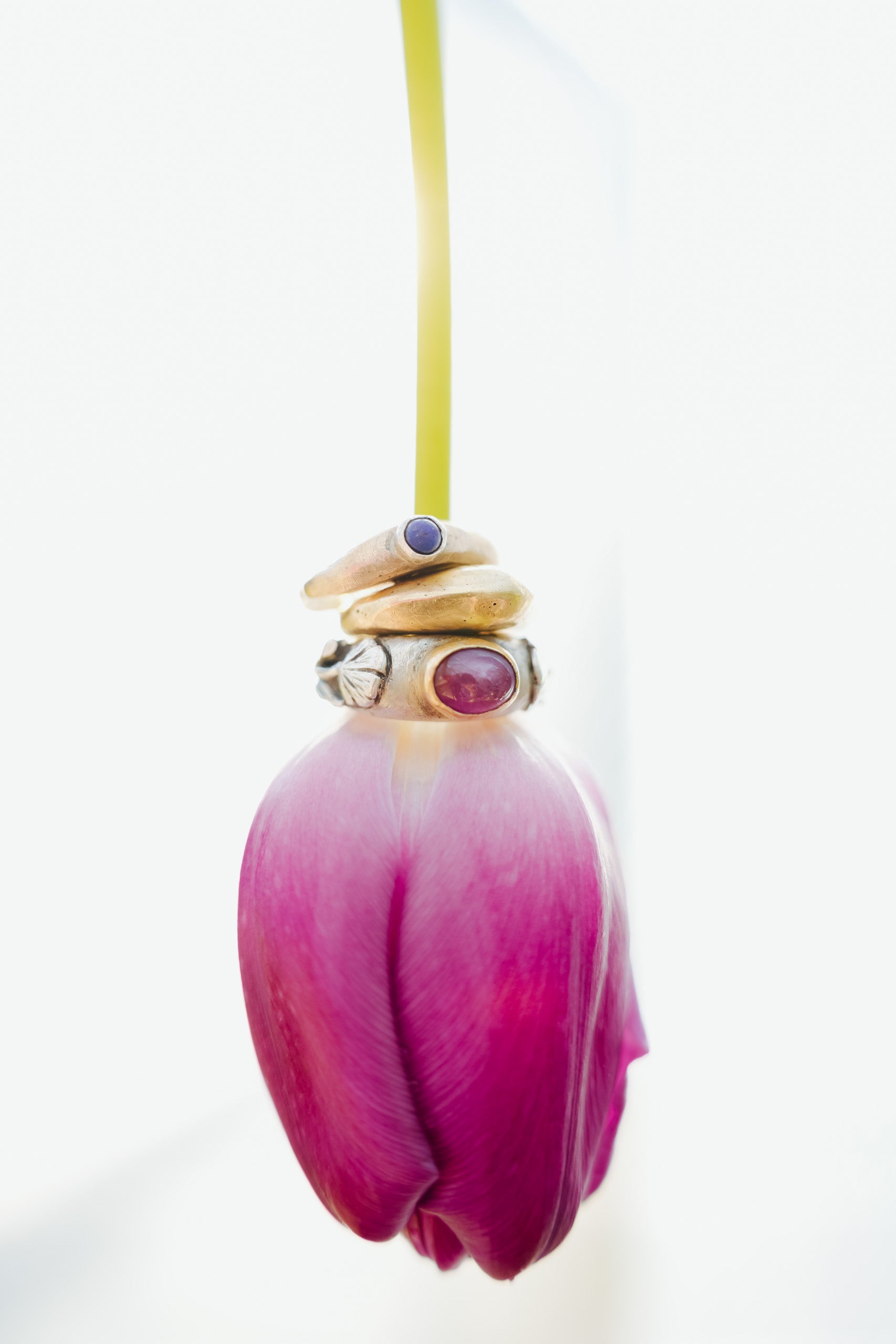 A pink tulip suspended upside down with three rings stacked on its stem. The ring at the bottom is sterling silver with a pink tourmaline set in an 18K gold bezel. There are hand-carved poppy flowers on the sides. The middle ring is a wide sterling silver band. The sides rise up to a ridge that runs along the top of the ring. The sterling silver ring at the top is a thinner band with a round, dark blue gemstone set in the center.